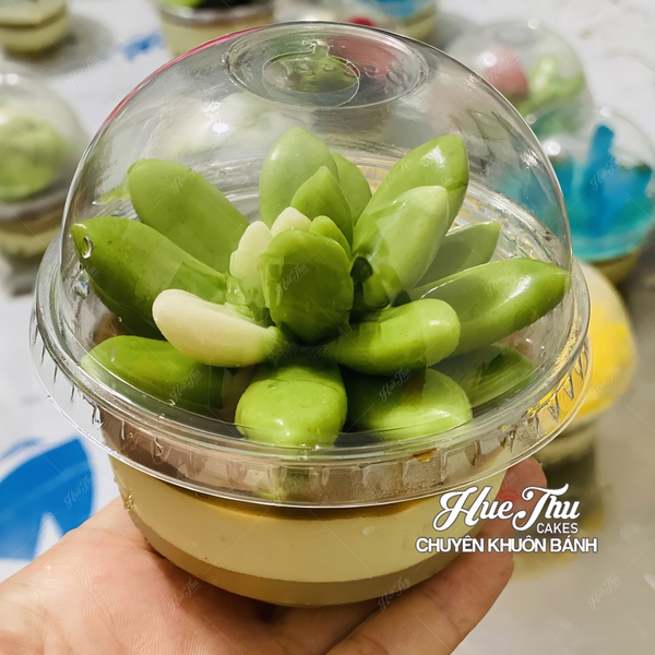 Ly nhựa PET lùn kèm nắp cầu dùng đổ rau câu, đựng đồ uống, làm kem