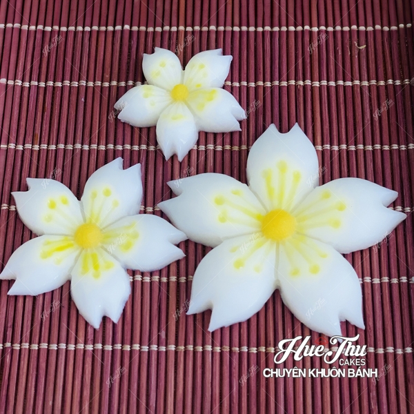 Khuôn silicon Hoa Anh Đào A130 làm bánh rau câu 3D 4D nhấn xôi, fondant, socola, nến hanmade