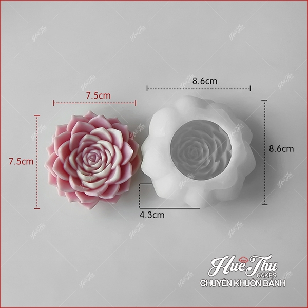 Khuôn silicon Xương Rồng Sen Đá 107 (7 mẫu) làm bánh rau câu 3D 4D nhấn xôi, fondant, socola, nến hanmade