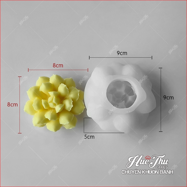 Khuôn silicon Xương Rồng Sen Đá 107 (7 mẫu) làm bánh rau câu 3D 4D nhấn xôi, fondant, socola, nến hanmade