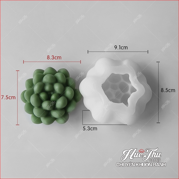 Khuôn silicon Xương Rồng Sen Đá 107 (7 mẫu) làm bánh rau câu 3D 4D nhấn xôi, fondant, socola, nến hanmade