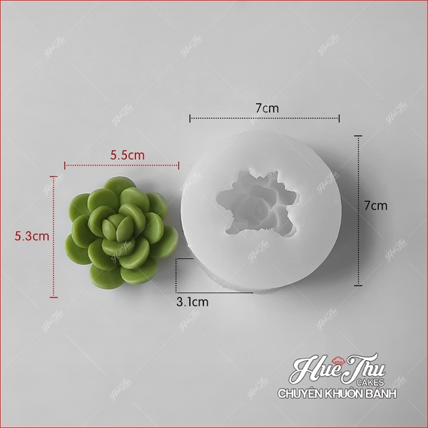 Khuôn silicon Xương Rồng Sen Đá 107 (7 mẫu) làm bánh rau câu 3D 4D nhấn xôi, fondant, socola, nến hanmade