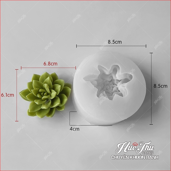 Khuôn silicon Xương Rồng Sen Đá 107 (7 mẫu) làm bánh rau câu 3D 4D nhấn xôi, fondant, socola, nến hanmade