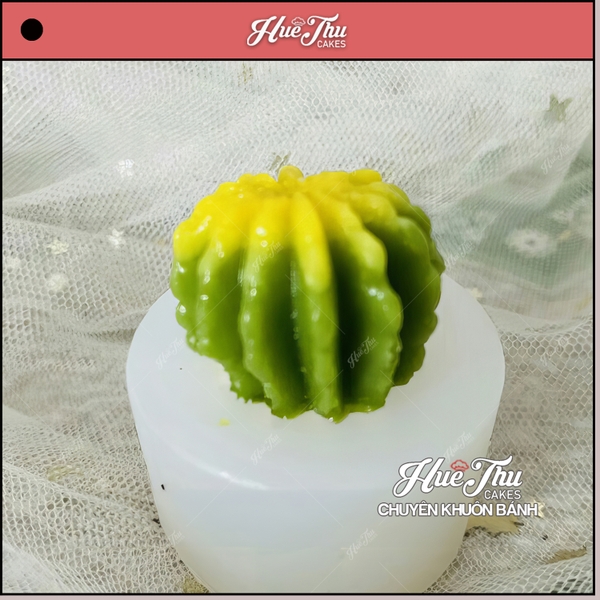 Khuôn silicon Xương Rồng Có Khía (số 9, số 10) làm bánh rau câu 3D 4D nhấn xôi, fondant, socola, nến hanmade