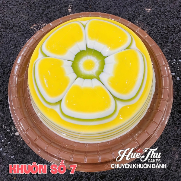 Bộ khuôn Vĩnh Trường 20cm (khuôn số 1-12) chất liệu nhựa PP đổ bánh rau câu, ép xôi, cơm