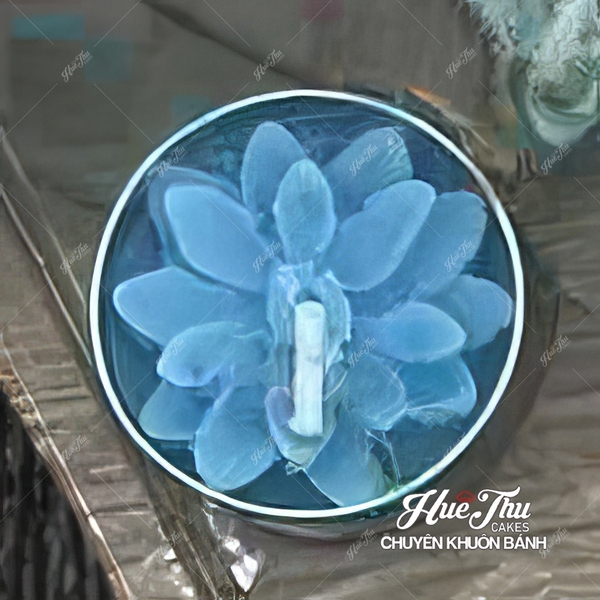 Nến bơ Organic - Nến hoa nổi tealight (hộp 12 viên) decor bàn tiệc, mâm cúng