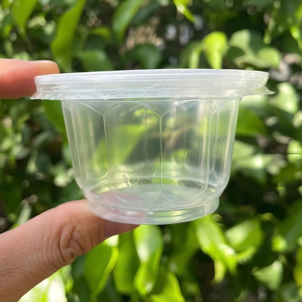 Hộp đựng rau câu Bông Mai (50 cái, có nắp) hũ nhựa hấp bánh flan, da lợn, đựng tàu hủ singapore, panna cotta, rau câu ly