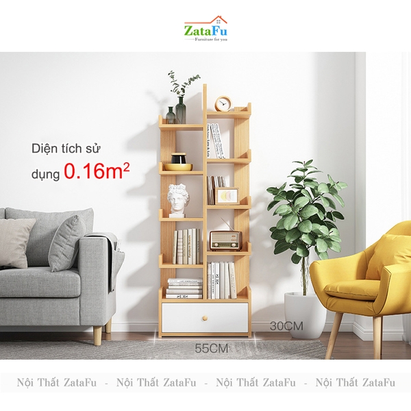 kệ sách cây xương rồng