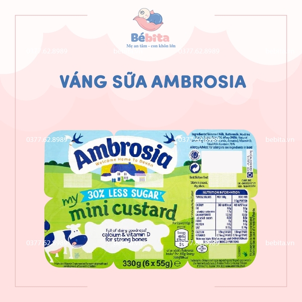 VÁNG SỮA AMBROSIA