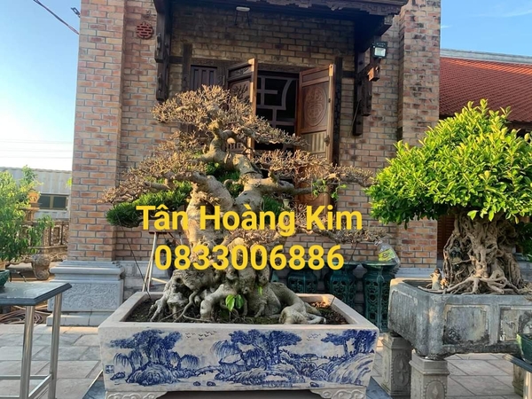 Một số công trình sử dụng gạch chịu lửa xây không trát của Tân Hoàng Kim