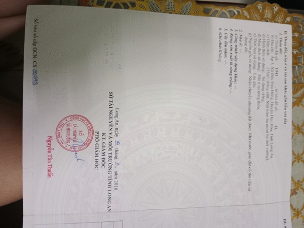 Bất động sản đức hòa ,  cách nhựa vào 200 m ấp 5 gần trường học cấp 2 đức hòa đông