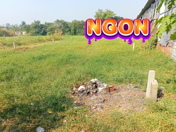 🆘 QUÁ RẺ, ĐỨC HOÀ ĐÔNG. Đường Oto tới đất Thông, Dân Cư Đông Gần KCN Tân Đức