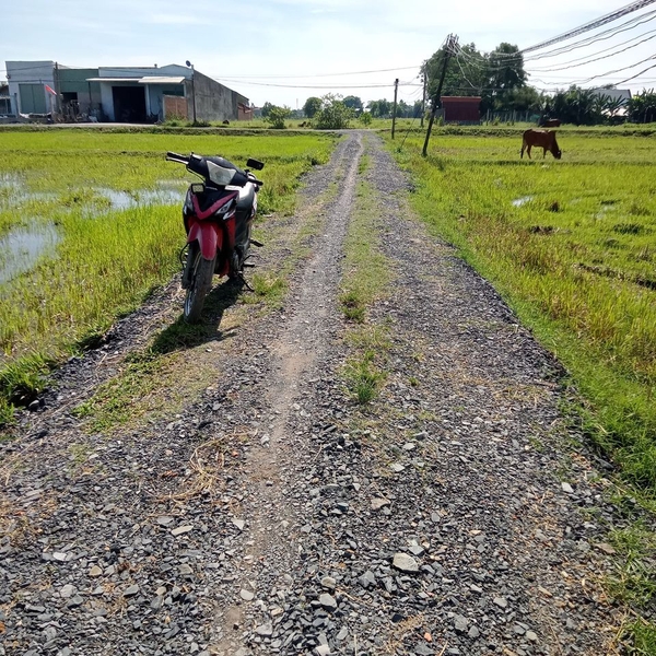 Chủ đẹp gửi bán lô đất đẹp sát vườn lan mỹ hạnh nam. DT 5m × 25m full thổ cư