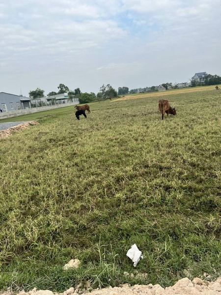 bán đất xã hòa khánh tây huyện đức hòa