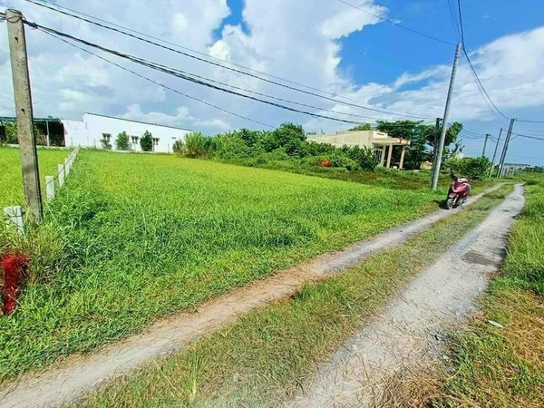 bán đất ấp bình lợi xã hòa khánh đông