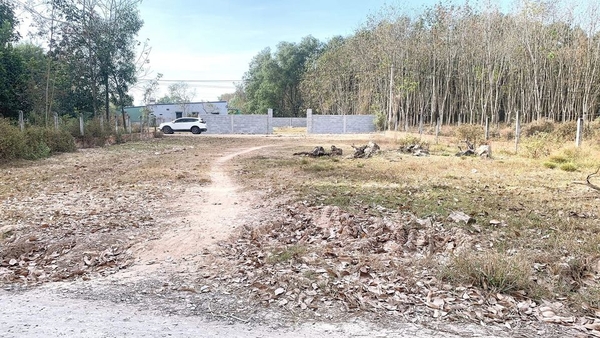 Bán Đất gần Chợ Bàu Công Xã Tân Mỹ , Huyện Đức Hòa Đường 7m Sắp Lên Nhựa