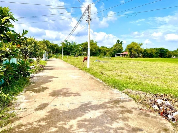 Đất Ở Đô Thị Mới Hậu Nghĩa Đường Bê Tông Xe Hơi Tới Chỗ 4.2M x 23M Vuông Vức