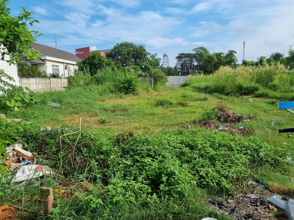 NGAY CHỦ GỬI BÁN- Đường nhựa 6m Thuộc Bình Tả 1 Cách Tỉnh lộ 824 chỉ 100m