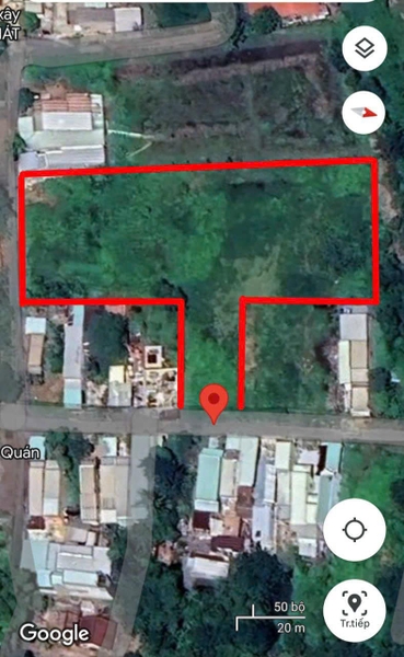 CHÍNH CHỦ GỬI Tổng diện tích 4975 m2 đất vườn Mặt tiền nhựa đường Tulip, Khu Vực 4 - Thị Trấn Đức Hòa.