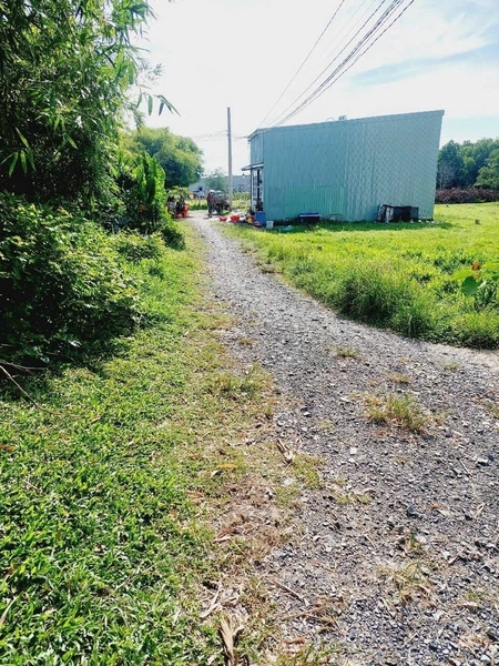 Bán đất xã Mỹ Hạnh Nam