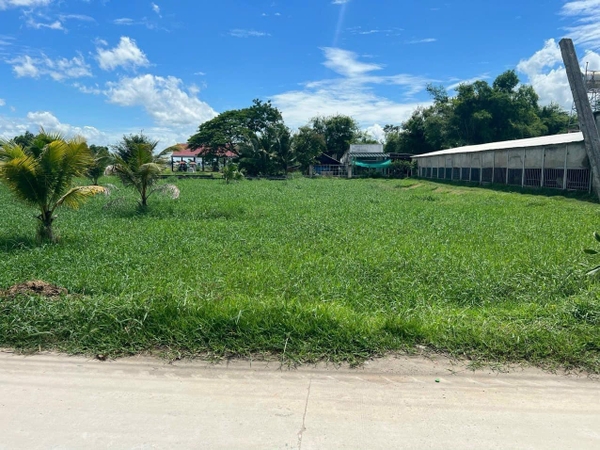 mua bán nhà đất xã đức hòa thượng