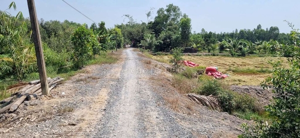 Đất thổ cư, có sổ hồng Diện tích 1000mv full thổ, đường 7m xe tải ra vào