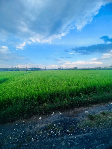 Bán Đất Xã Tân Mỹ Gần Vingroup