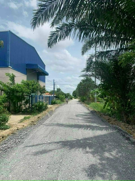 Bán đất ấp bình lợi xã hòa khánh đông