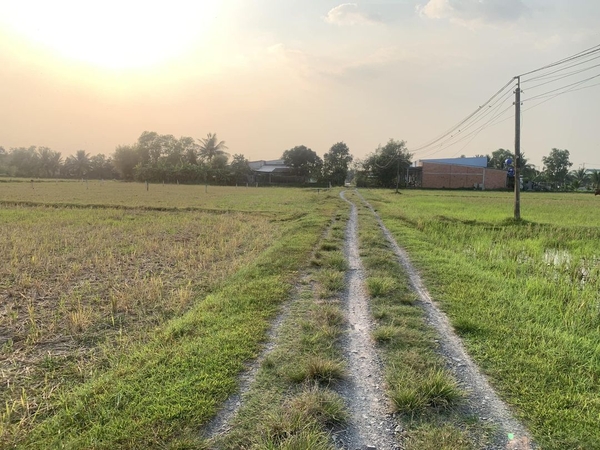 Đất Bình Lợi Xã Hòa Khánh Đông Đức Hòa Cách TL825 Vào 300m Xe Hơi