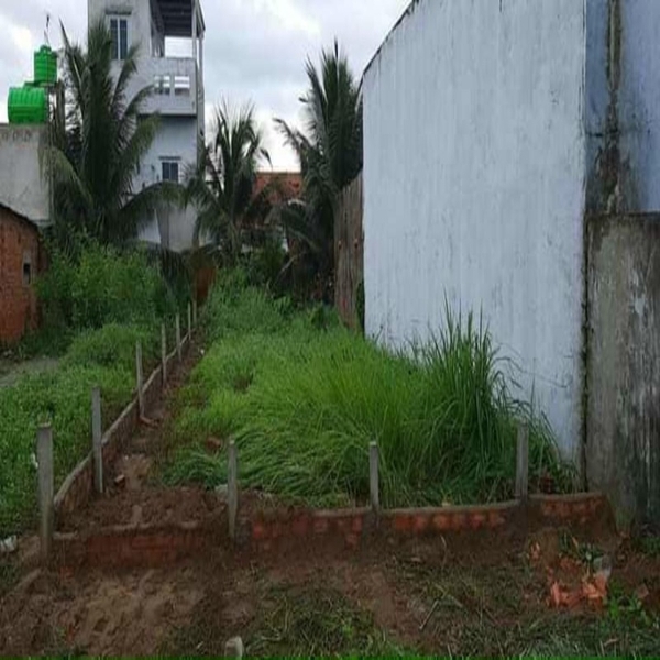 Đất ấp bình tiền đức hòa hạ gần đường 824 có bách hóa xanh chợ Đức Hòa