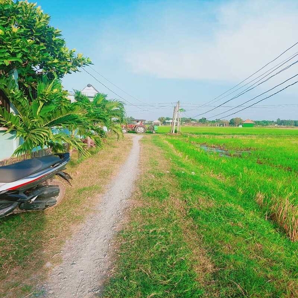 Bán Đất Ấp Giồng Lớn Xã Mỹ Hạnh Nam Đường Đá Xanh Thích Hợp Xây Ở