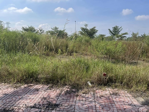 Bán Đất Ấp Bình Lợi Xã Hòa Khánh Đông ,Huyện Đức Hòa