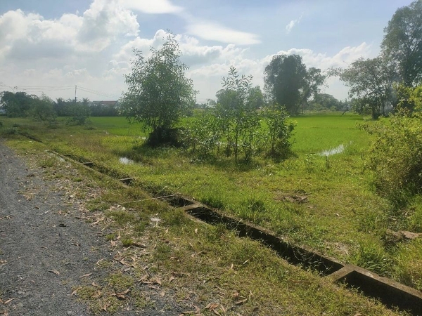 Bán Đất Lúa Xã Hòa Khánh Đông