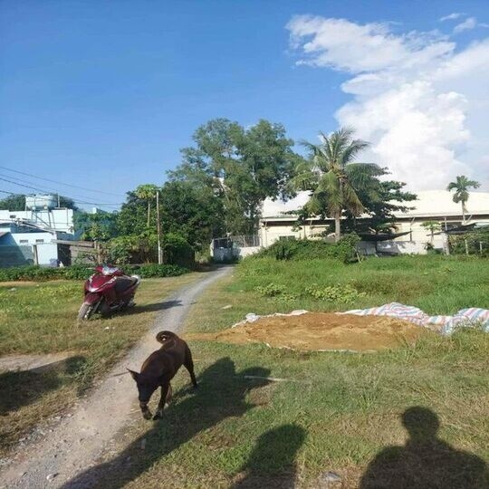 Bán Đất Ấp Bình Tả 1 Xã Đức Hòa Hạ Không Mồ Mã Xây Ở Bao Đẹp