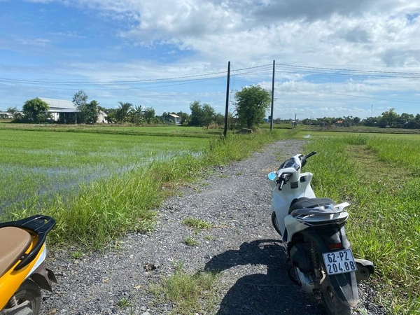 bán đất ấp bình lợi xã hòa khánh đông huyện đức hòa