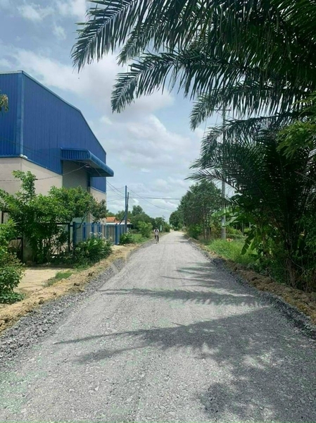 bán đất ấp bình lợi xã hòa khánh đông