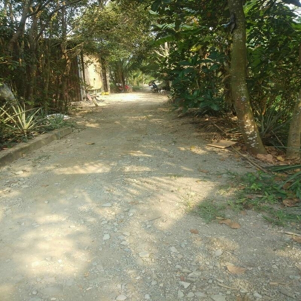 Bán Đất Xã Hòa Khánh Tây Huyện Đức Hòa Đường Xe Hơi Ra Vô