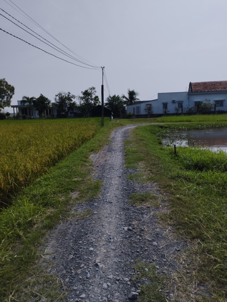 Bán Đất Ấp 1 Xã Đức Hòa Đông