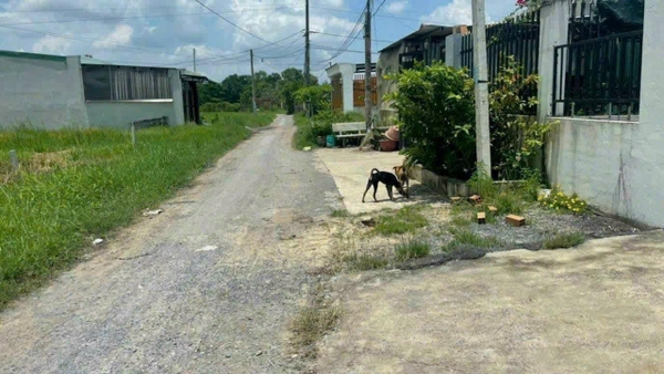 💥 Quá rẻ 💥  Bán lô đất thổ 1/ đường số 2, Bình Lợi, Hoà Khánh Đông, Đức Hoà