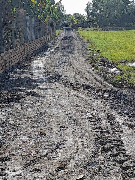 12 Lô đất- thị trấn hậu nghĩa  Năm ở khu hành chính huyện - Đức hoà 