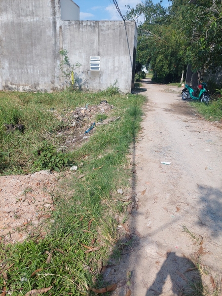 chủ gửi bán gấp... Ấp Rừng Sến .Xã Mỹ Hạnh Bắc.Đức Hòa .Long An