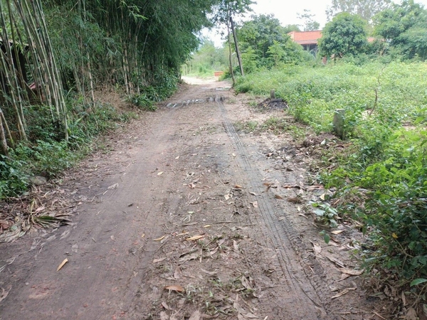 Chủ ngộp bán Thuộc Lộc Chánh Lộc Giang. Đức Hoà Long An Thích hợp phân lô, xây nhà vườn...