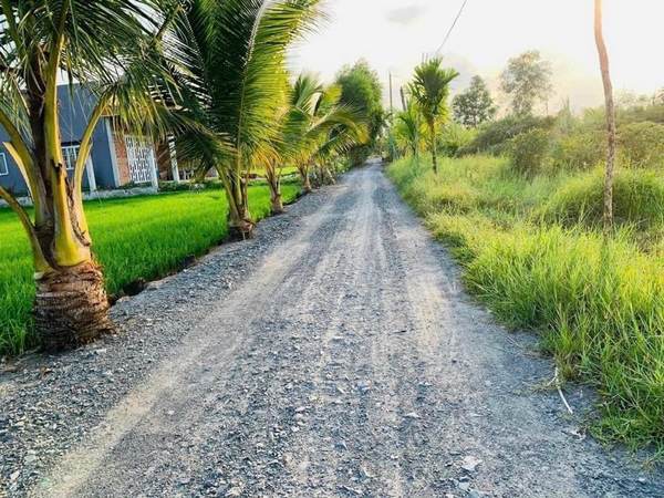 Bán đất đường LIÊN XÃ , ấp 2 xã Hựu Thạnh