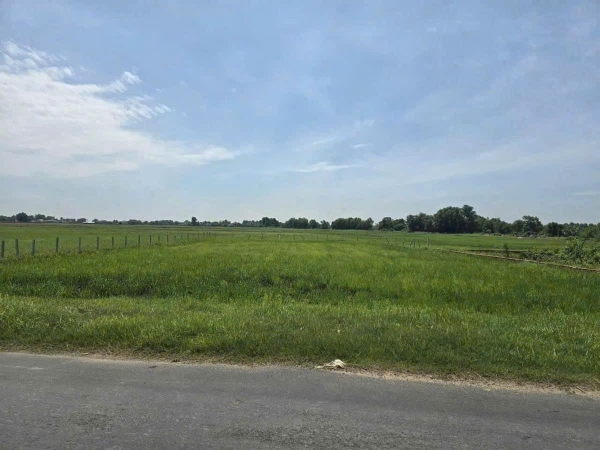 Mặt tiền đường nhựa AN THUẬN, An Ninh Tây huyện đức hòa