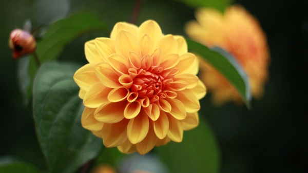 Chuyện đời thường tại Nhà thuốc Phúc An