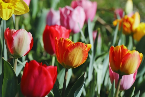 Chuyện đời thường tại Nhà thuốc Phúc An