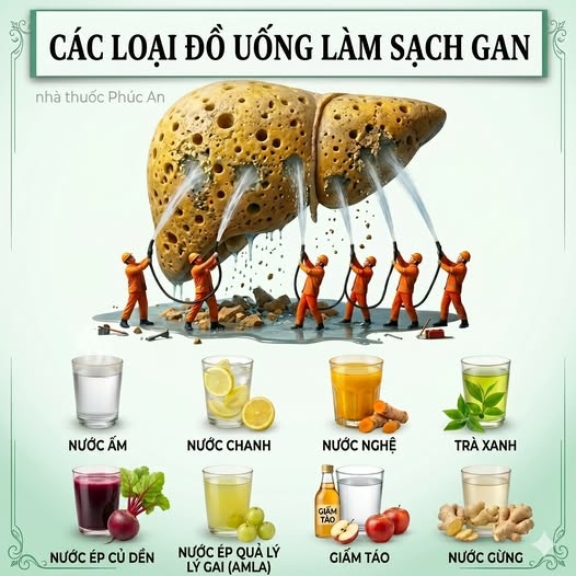 Gan không cần “thanh lọc” – chỉ cần bạn hiểu đúng