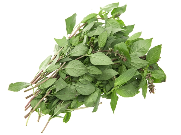 RAU HÚNG QUẾ GÓI 100G