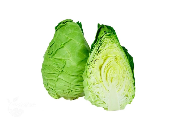 BẮP CẢI TRÁI TIM TFH