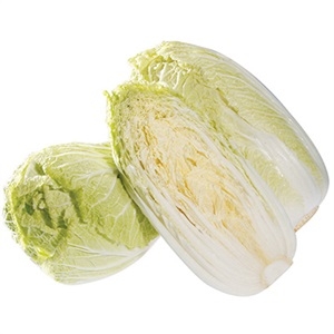 BẮP CẢI THẢO